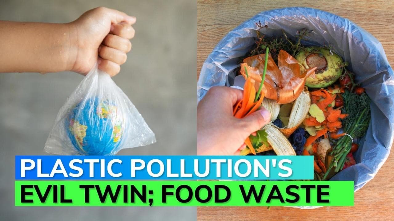 Food waste far worse than plastic pollution, here's why! 