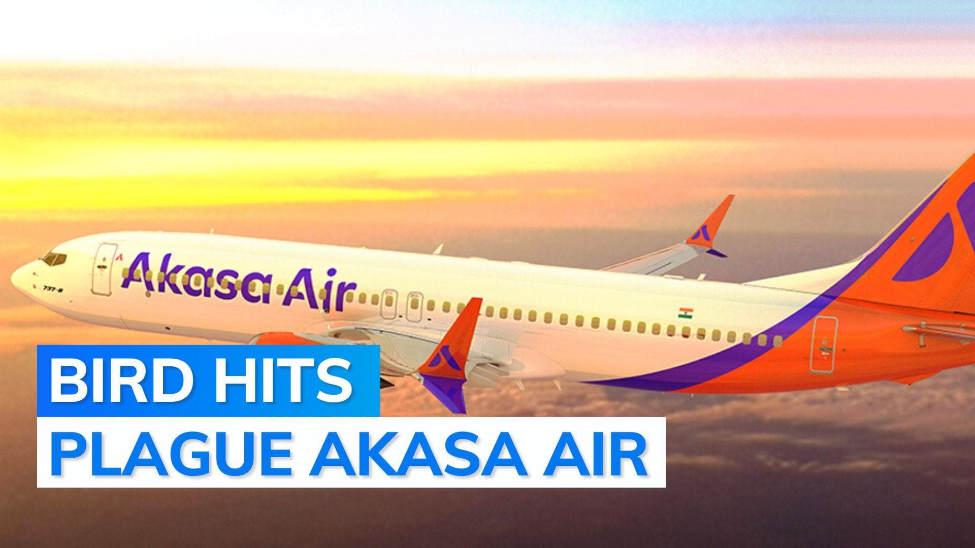 Akasa Air plane suffers bird hit - 2nd incident in 2 weeks. Flight lands safely in Delhi