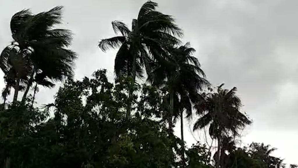 West Bengal Weather Update:  শুক্র থেকে বঙ্গে বৃষ্টির নতুন স্পেল, ভিজবে গোটা রাজ্য
