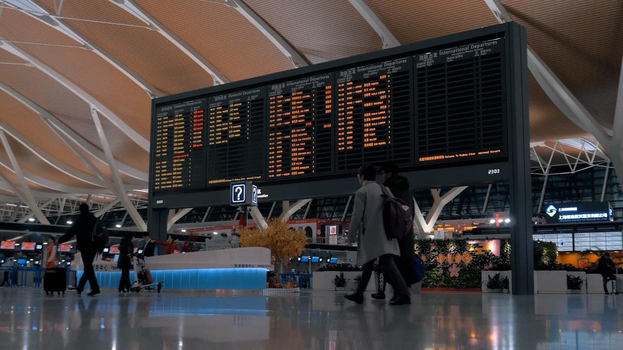 WHO: Travel bans don't help curb Covid, don't ask for vaccine proof