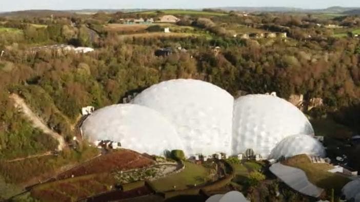 एक छत के नीचे पूरा जंगल