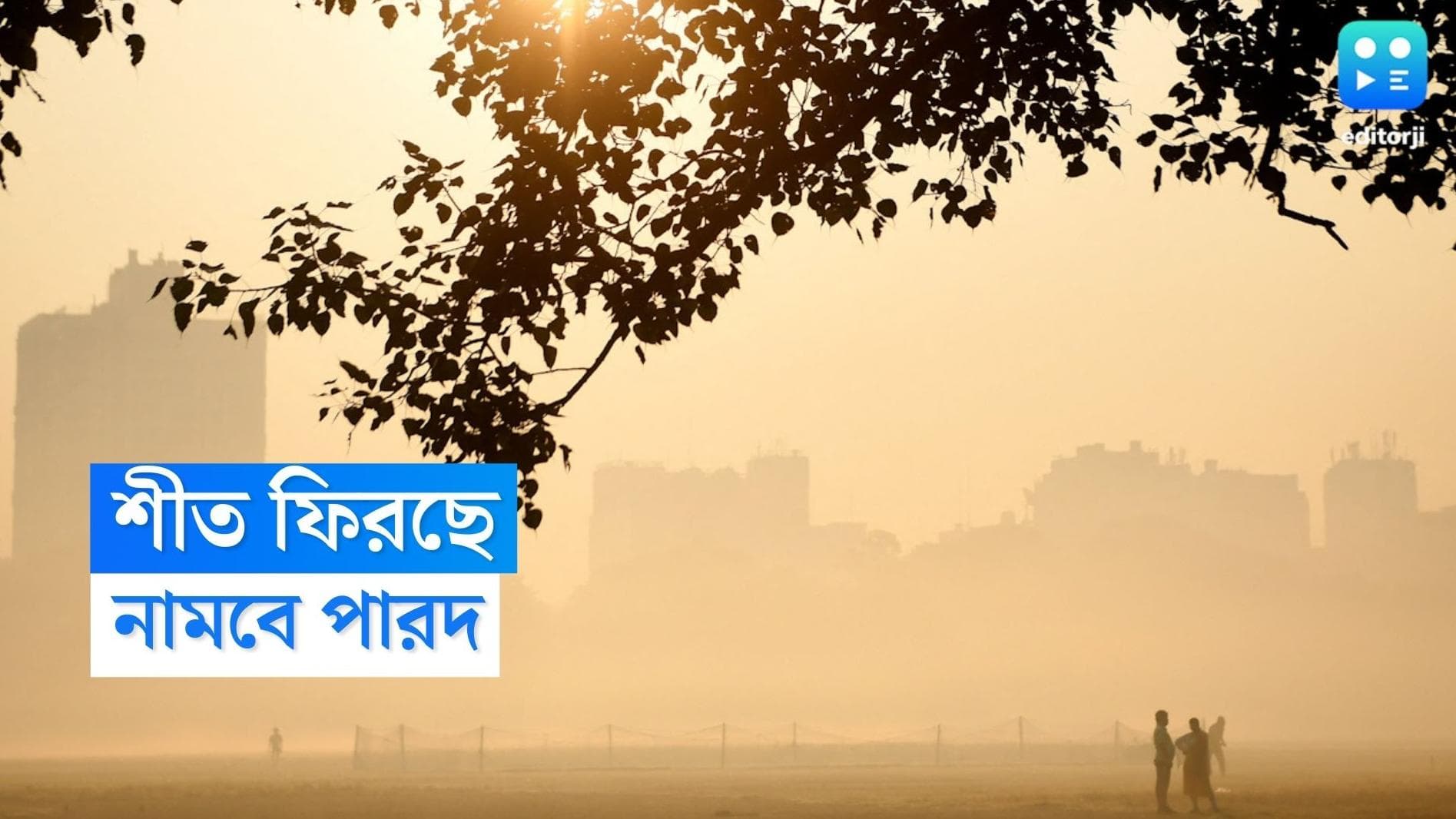 West Bengal Weather Update: ঢুকছে উত্তুরে হাওয়া, এই সপ্তাহেই রাজ্যে জাঁকিয়ে শীত, পূর্বাভাস আবহওয়া দফতরের