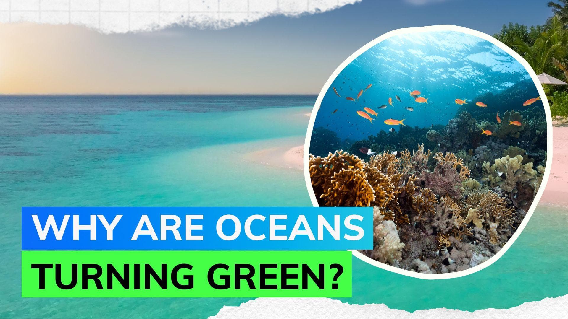 Oceans are changing colour due to climate change, research finds