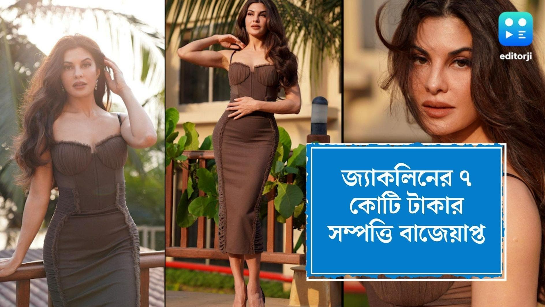 Jacqueline Fernandez : বিপাকে জ্যাকলিন ফার্নান্ডেজ, অভিনেত্রীর ৭ কোটির সম্পত্তি বাজেয়াপ্ত করল ইডি