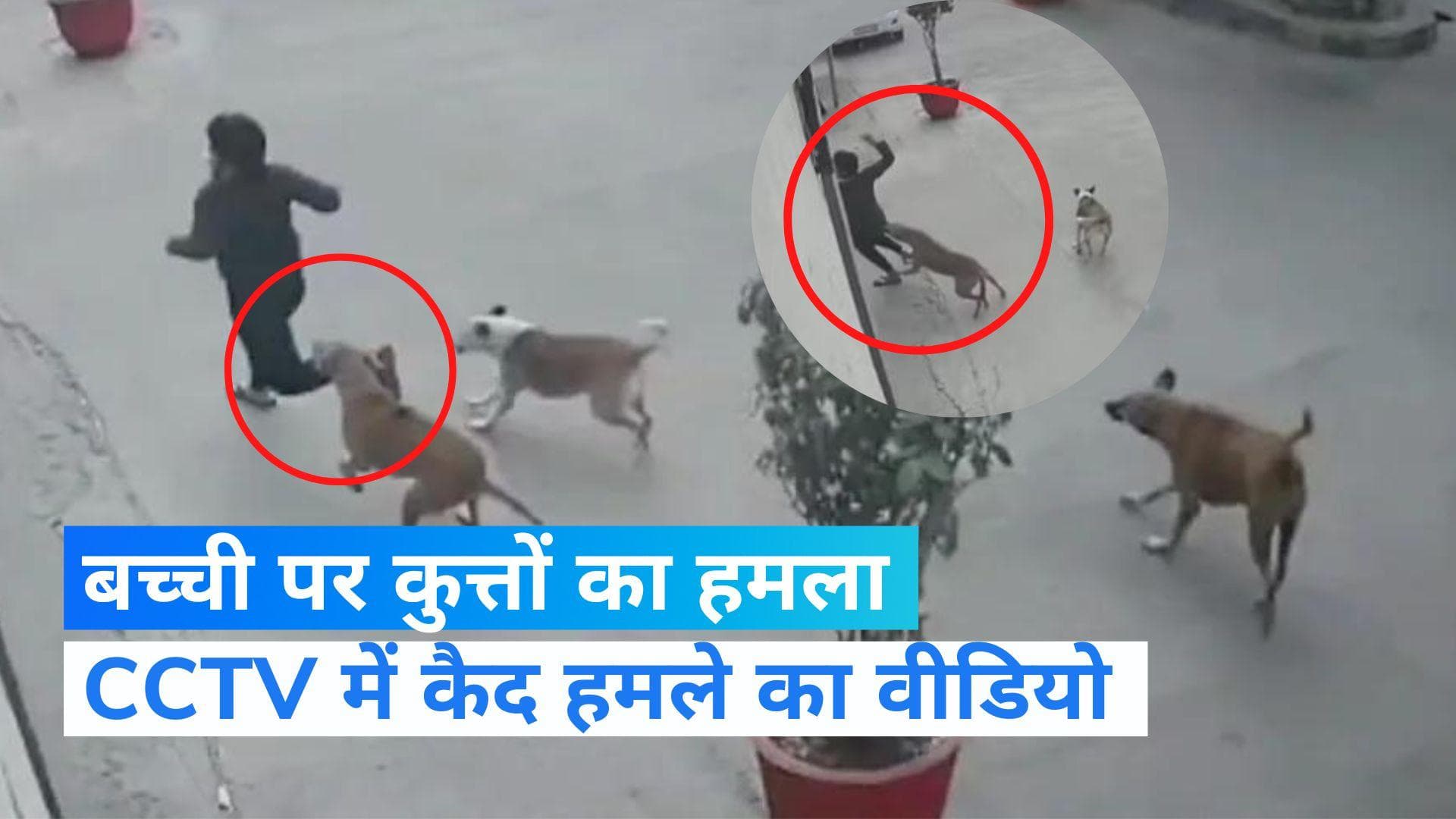Dog Attack: गाजियाबाद की सोसायटी में कुत्तों के झुंड ने 11 साल की बच्ची पर किया हमला, देखें CCTV VIDEO