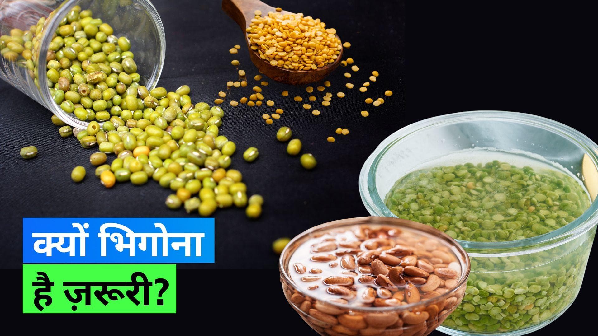 Soak Dal: आखिर क्यों दाल को पकाने से पहले भिगोया जाता है? जानिए वजह 