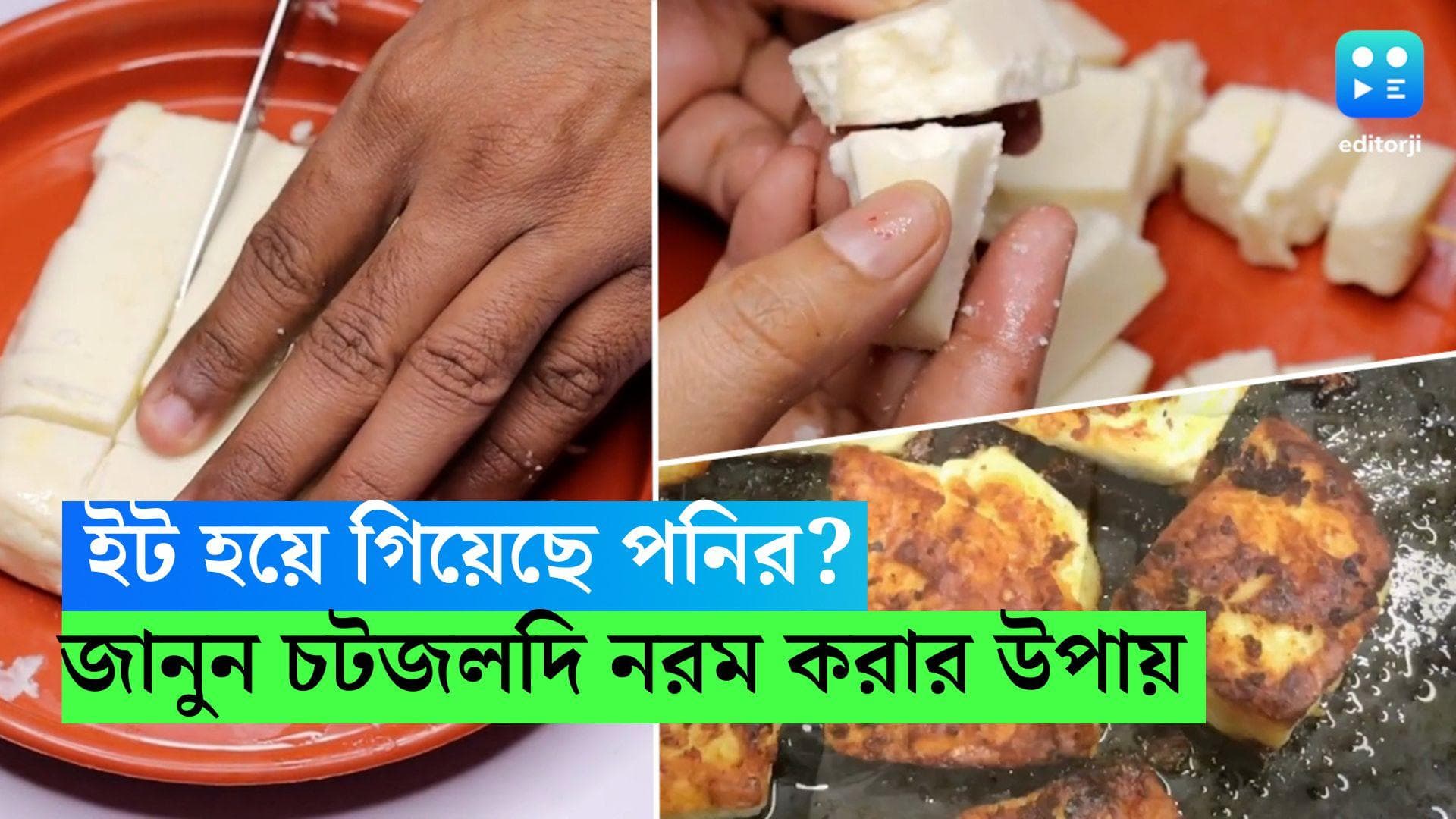 Frozen Paneer: ফ্রিজে রেখে ইট হয়ে গিয়েছে পনির? জানুন চটজলদি নরম করার সহজ উপায় 