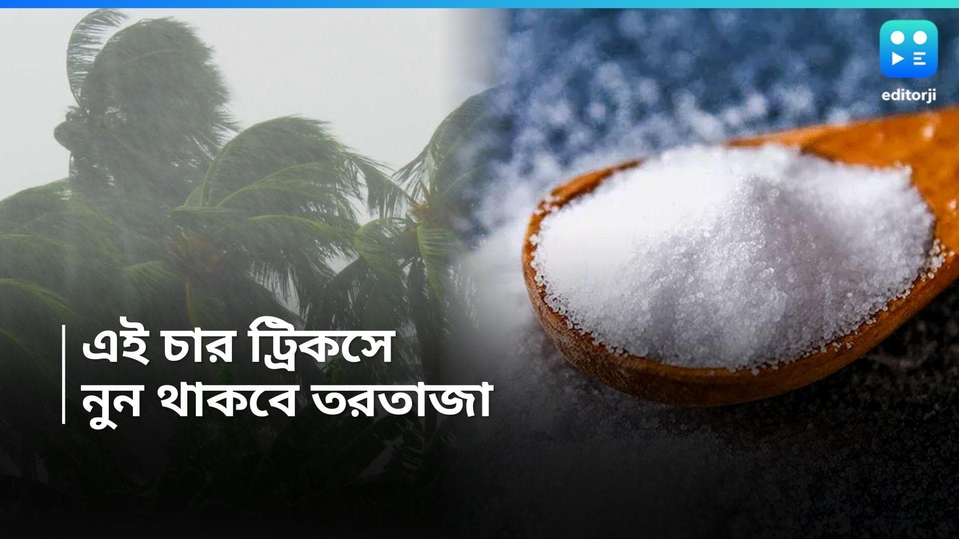 Monsoon Tips : বর্ষায় গলে যাচ্ছে নুন, রইল সমাধানের চার সহজ ট্রিকস  