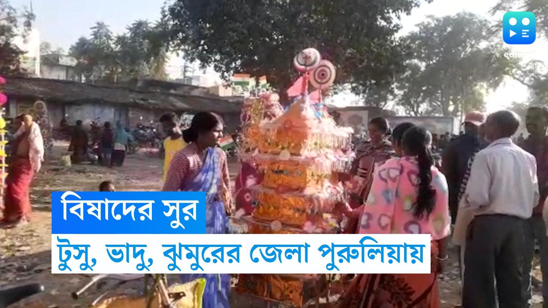 Tusu Festival: বিষাদের সুর  টুসু, ভাদু, ঝুমুরের জেলা পুরুলিয়ায়