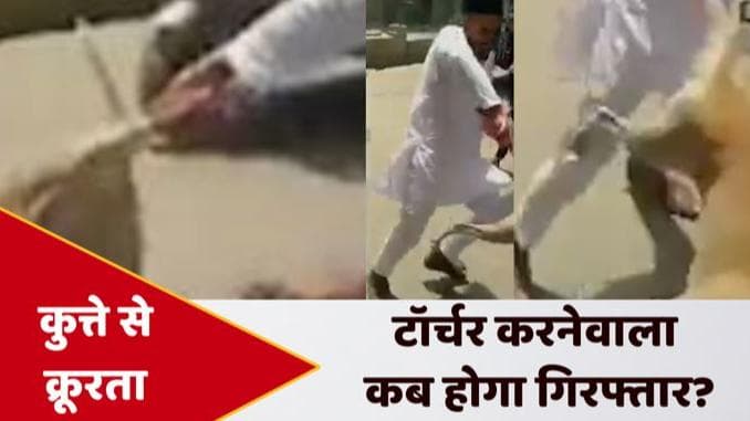 UP News: कुत्ते से क्रूरता का एक महीने पहले का वीडियो वायरल...आरोपी के खिलाफ केस दर्ज