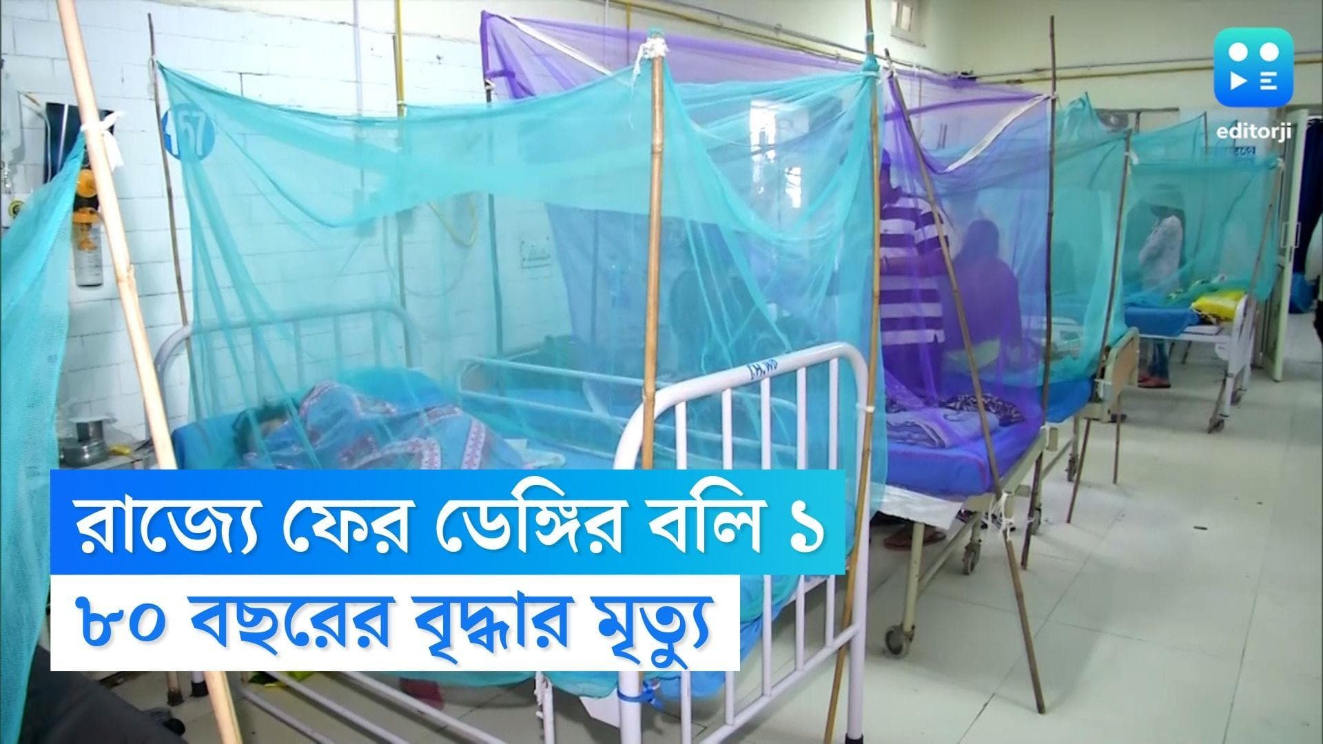 Dengue Death in Bengal : ফের রাজ্যে ডেঙ্গির বলি, মৃত্যু ৮০ বছরের এক বৃদ্ধার