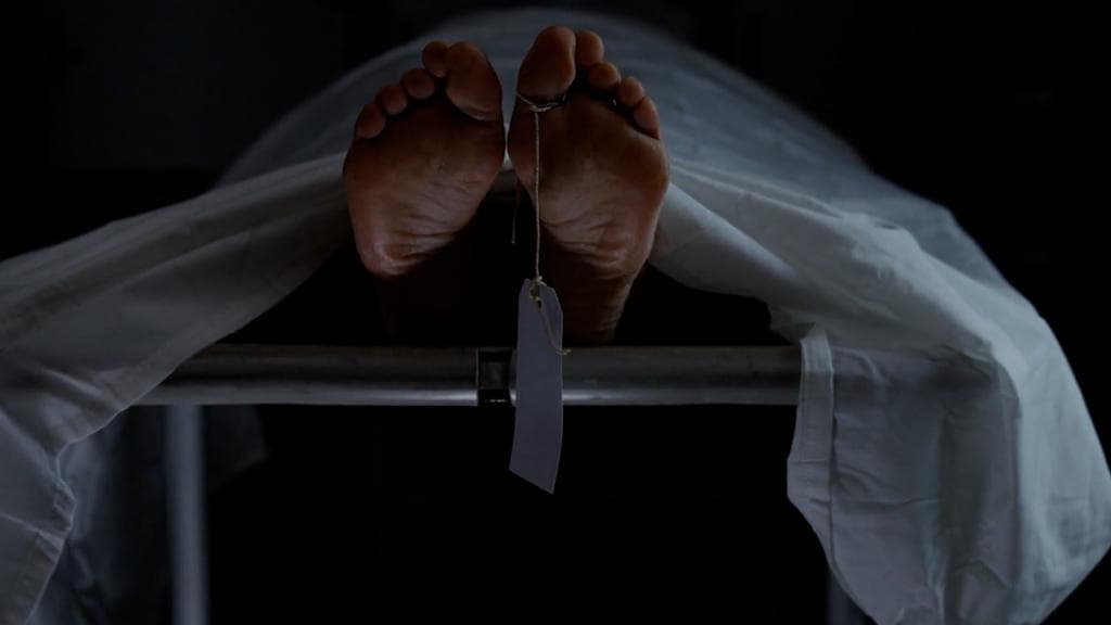 MAA flyover suicide: সরকারি স্টিকার সাঁটা গাড়ি রেখে মা উড়ালপুল থেকে মরণ-ঝাঁপ