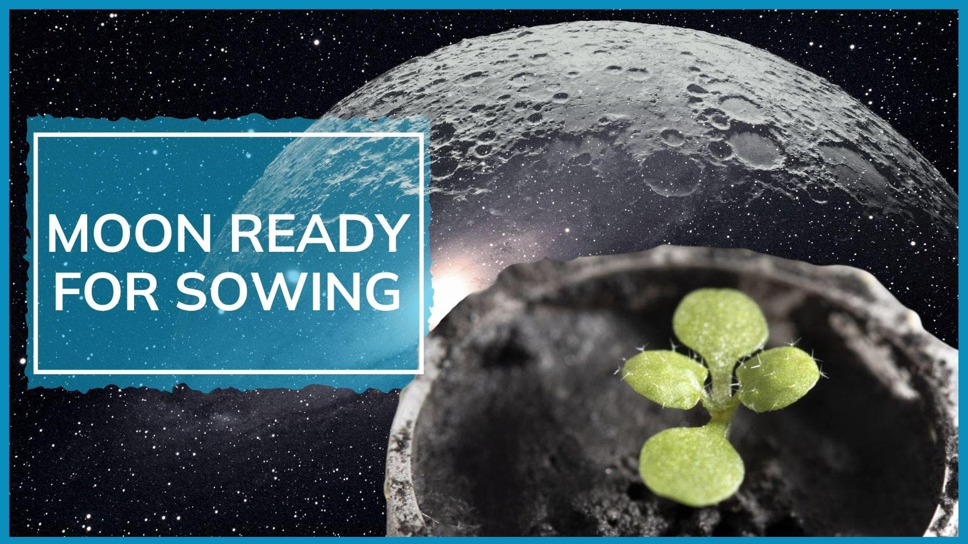 Scientists grow plants in soil from Moon for first time: what does it mean for space missions