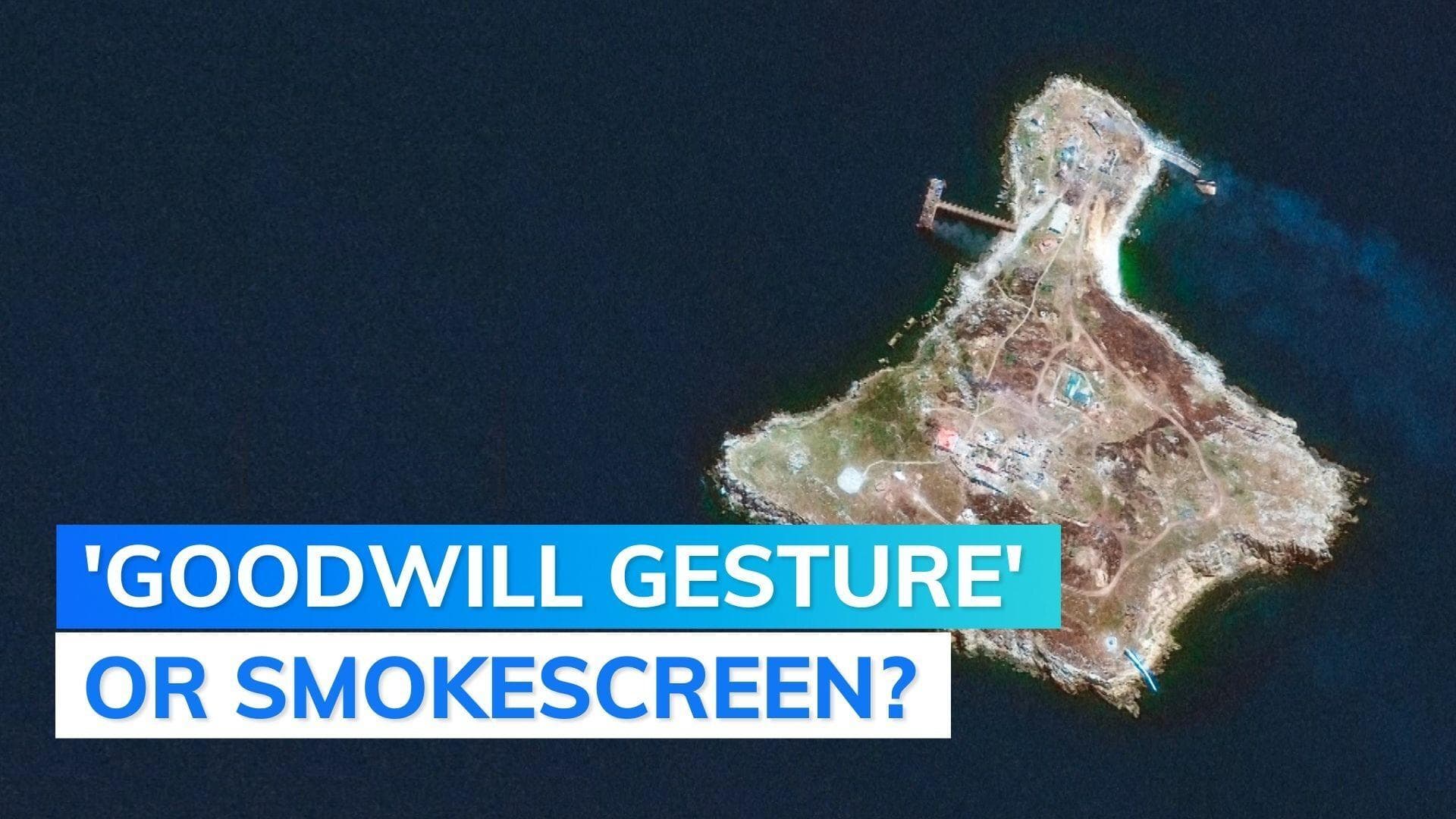 Ukraine video shows Russian warplanes dropping 'phosphorus bombs' on Snake Island