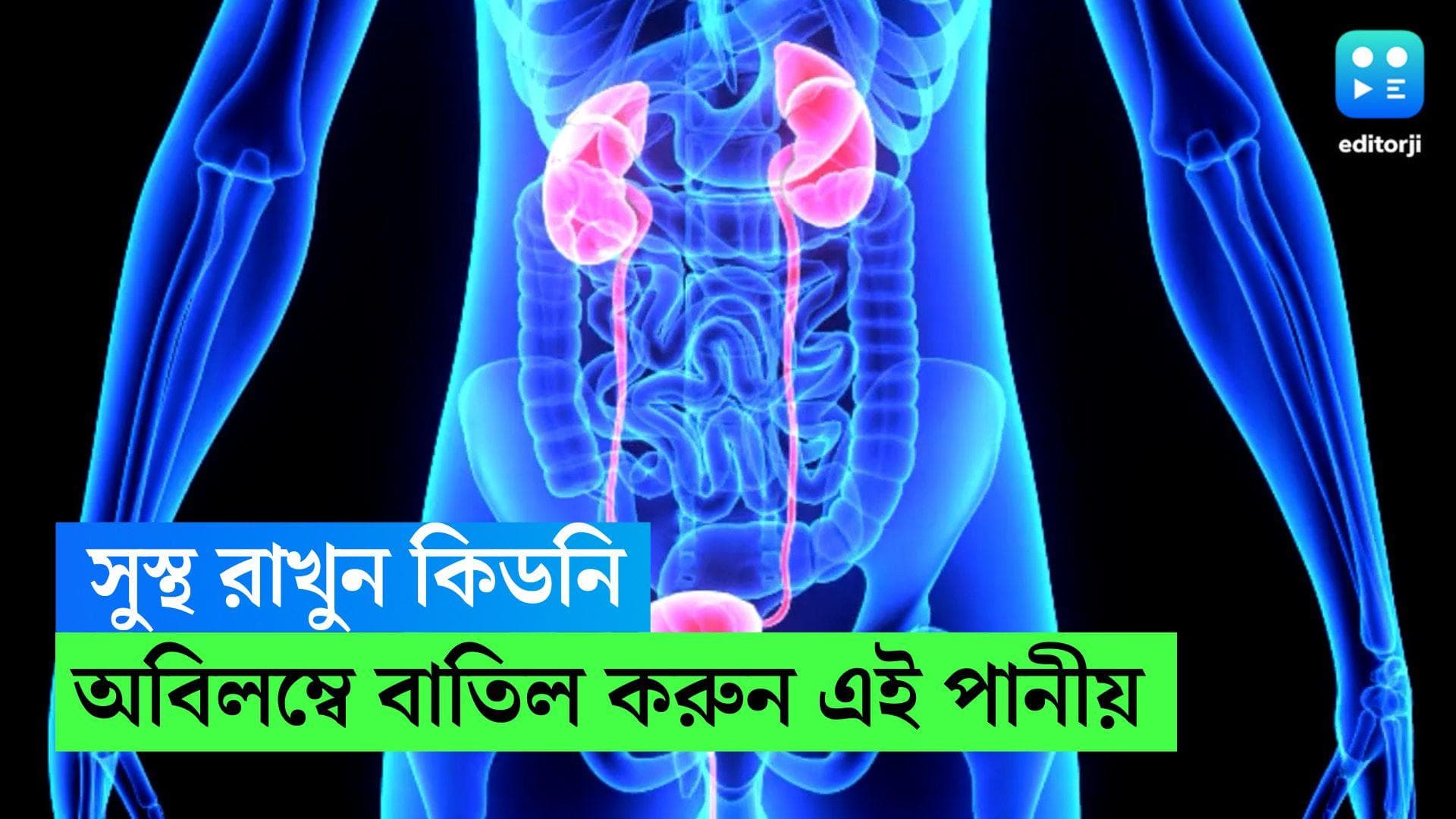 Kidney Health: কিডনি সুস্থ থাকতে এই ধরনের পানীয় থেকে দূরে থাকতে বলছে সমীক্ষা 