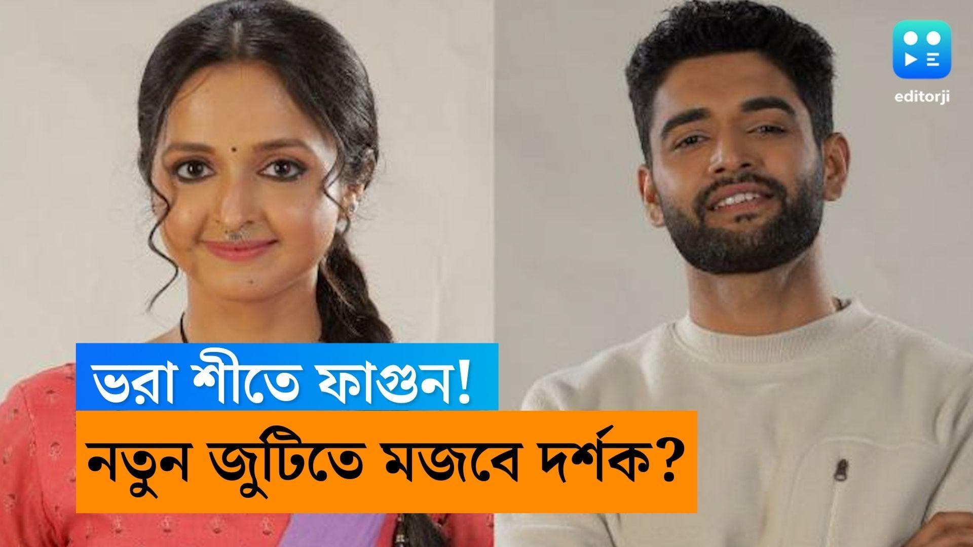 Bengali Serial: নতুন ধারাবাহিকে 'বীণাপাণি', সঙ্গী আনকোরা নায়ক