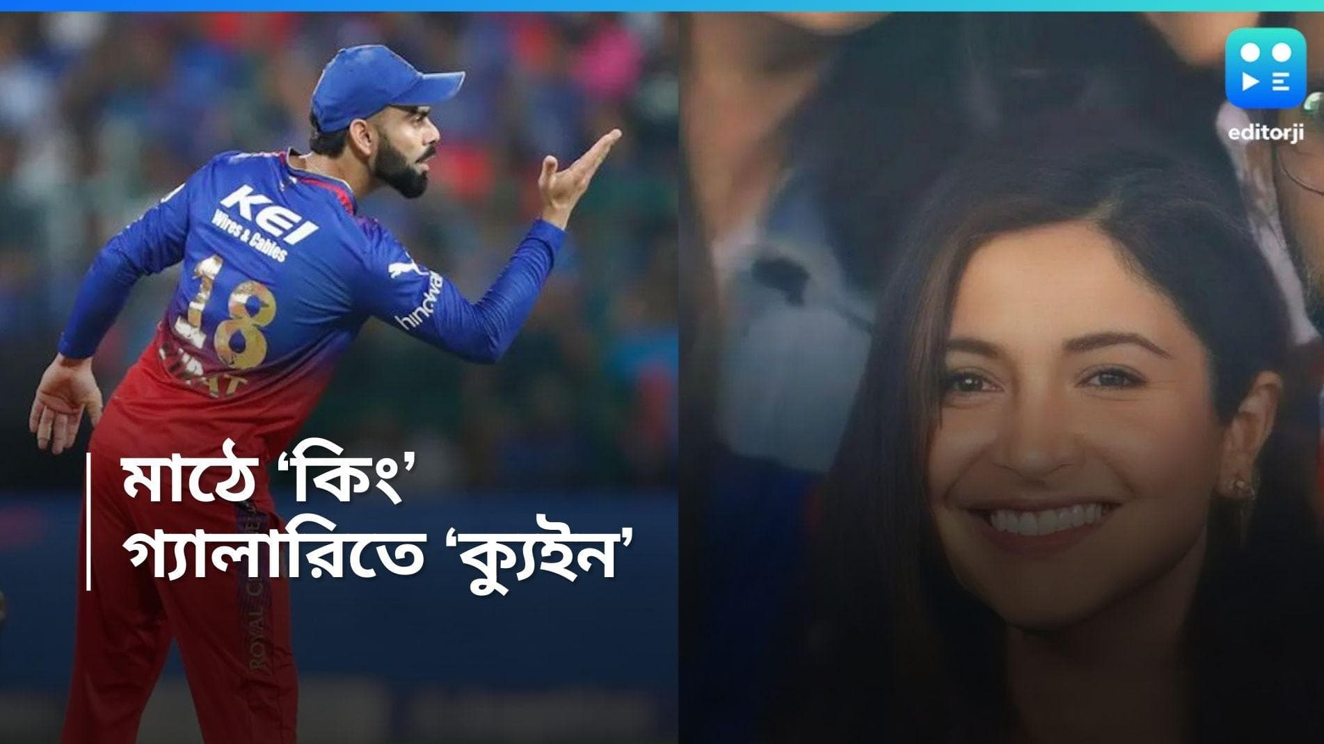 IPL 2024-Virat-Anushka: ২২ গজে কিং কোহলি, গ্যালারিতে নানা মেজাজে 'ক্যুইন' অনুষ্কা 