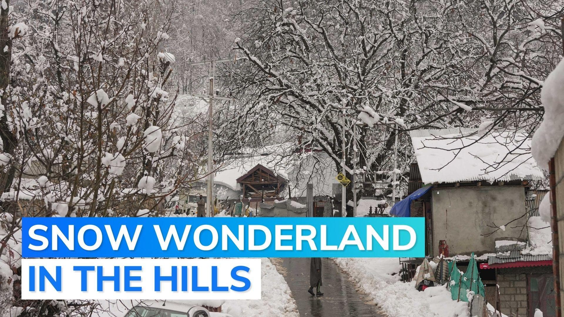 Hill towns of Shimla, Kullu, receive fresh snowfall; temperatures dip across Kashmir Valley 