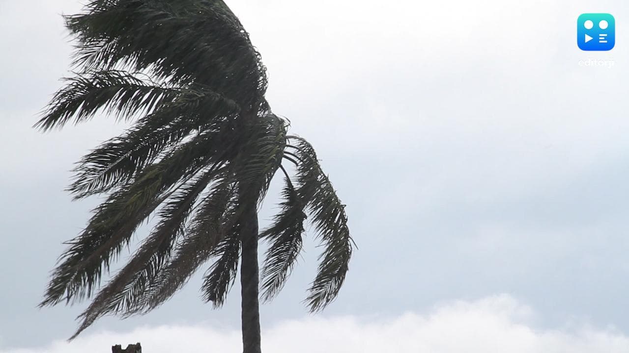 Odisha में शनिवार को दस्तक देगा ‘जवाद’ तूफान, वक्त से फसल काटने में जुटे किसान