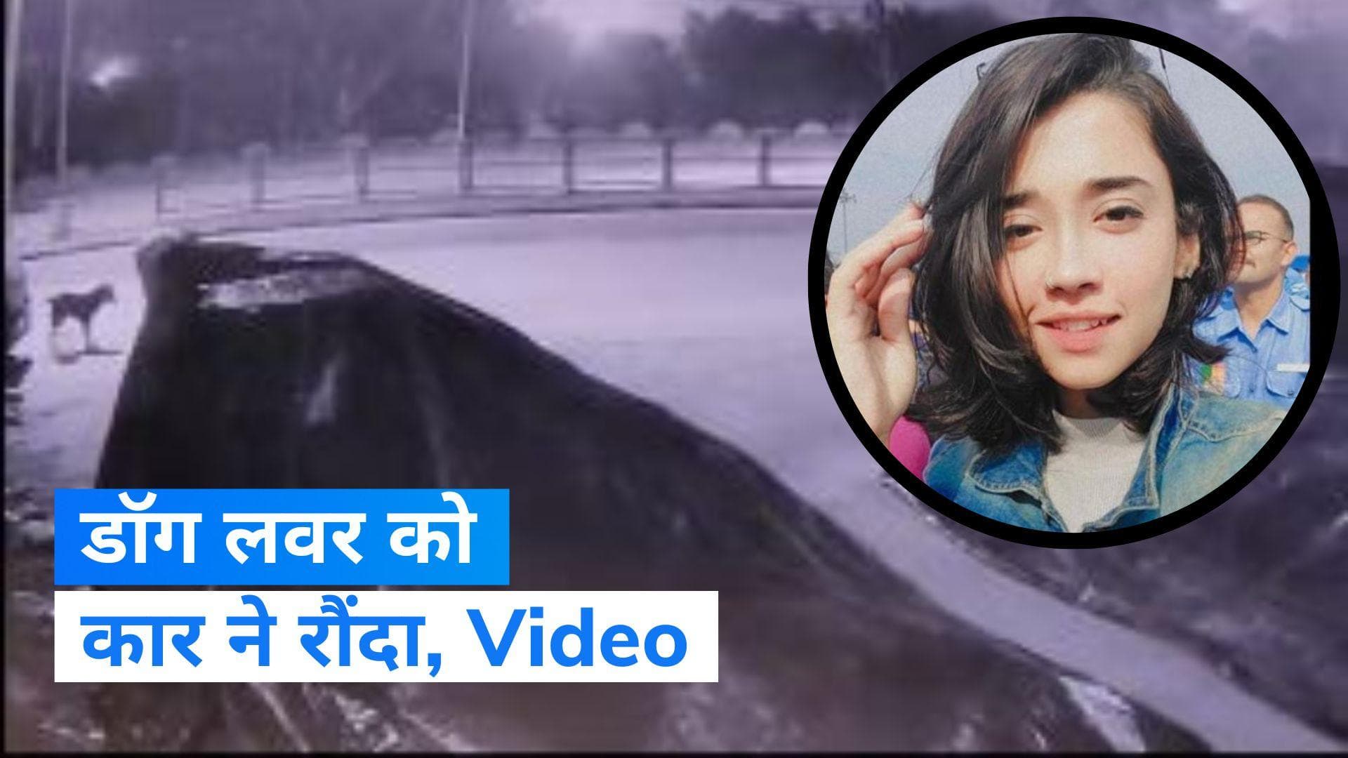 Hit and Run Case: चंडीगढ़ में 25 साल की स्ट्रीट डॉग लवर को कार ने रौंदा, दिल दहला देगा हादसे का ये Video