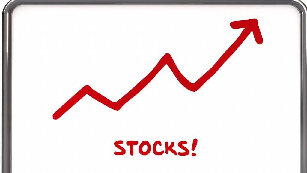 Firecracker stock story! This bet gave investors 1500% return