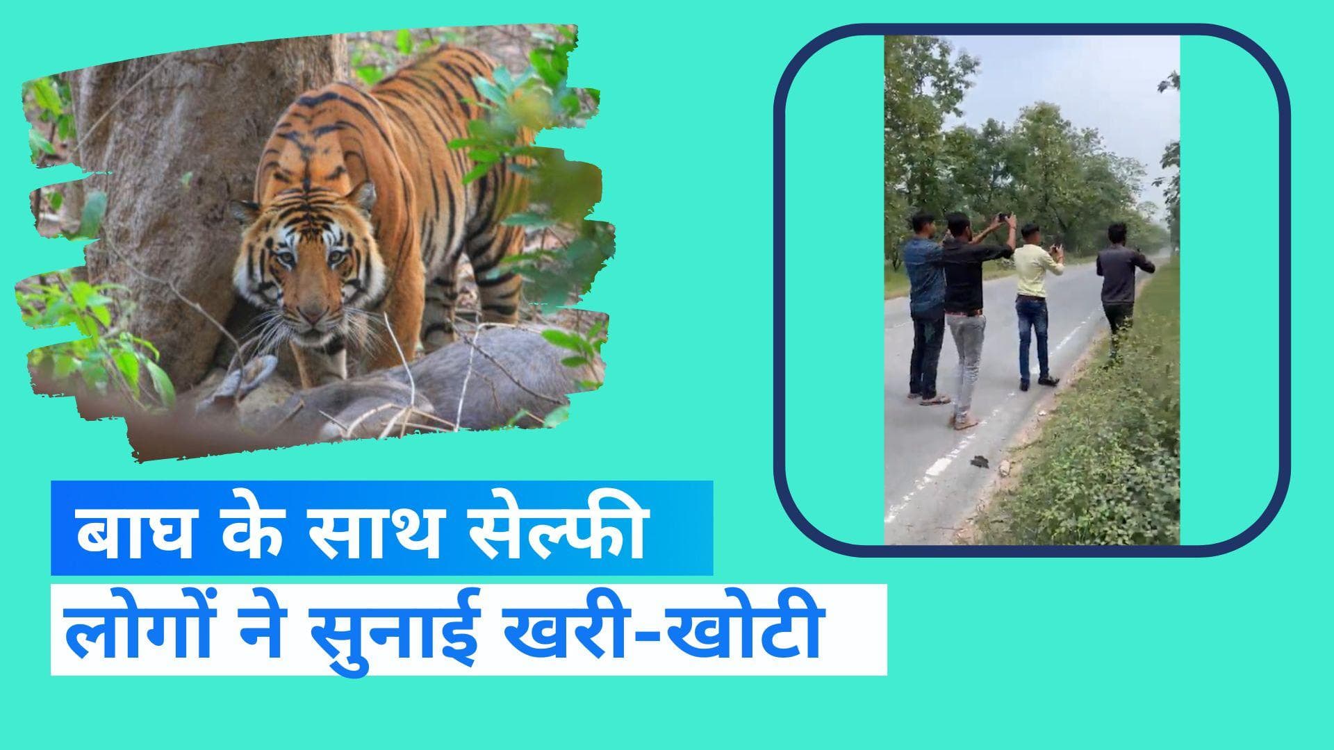  Viral Video: सेल्फी लेने आदमखोर बाघ के पास पहुंचे लड़के, सोशल मीडिया पर लोगों ने जमकर फटकारा 