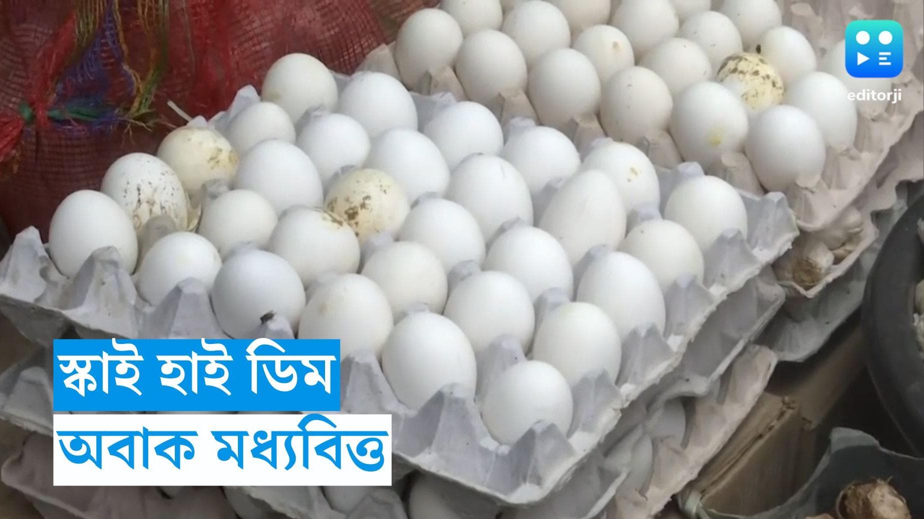 Egg Price Hike : ডিমেও রিঙ্কুর ছোঁয়া, কলকাতার বাজারে দাম ছাড়াল সাত টাকা