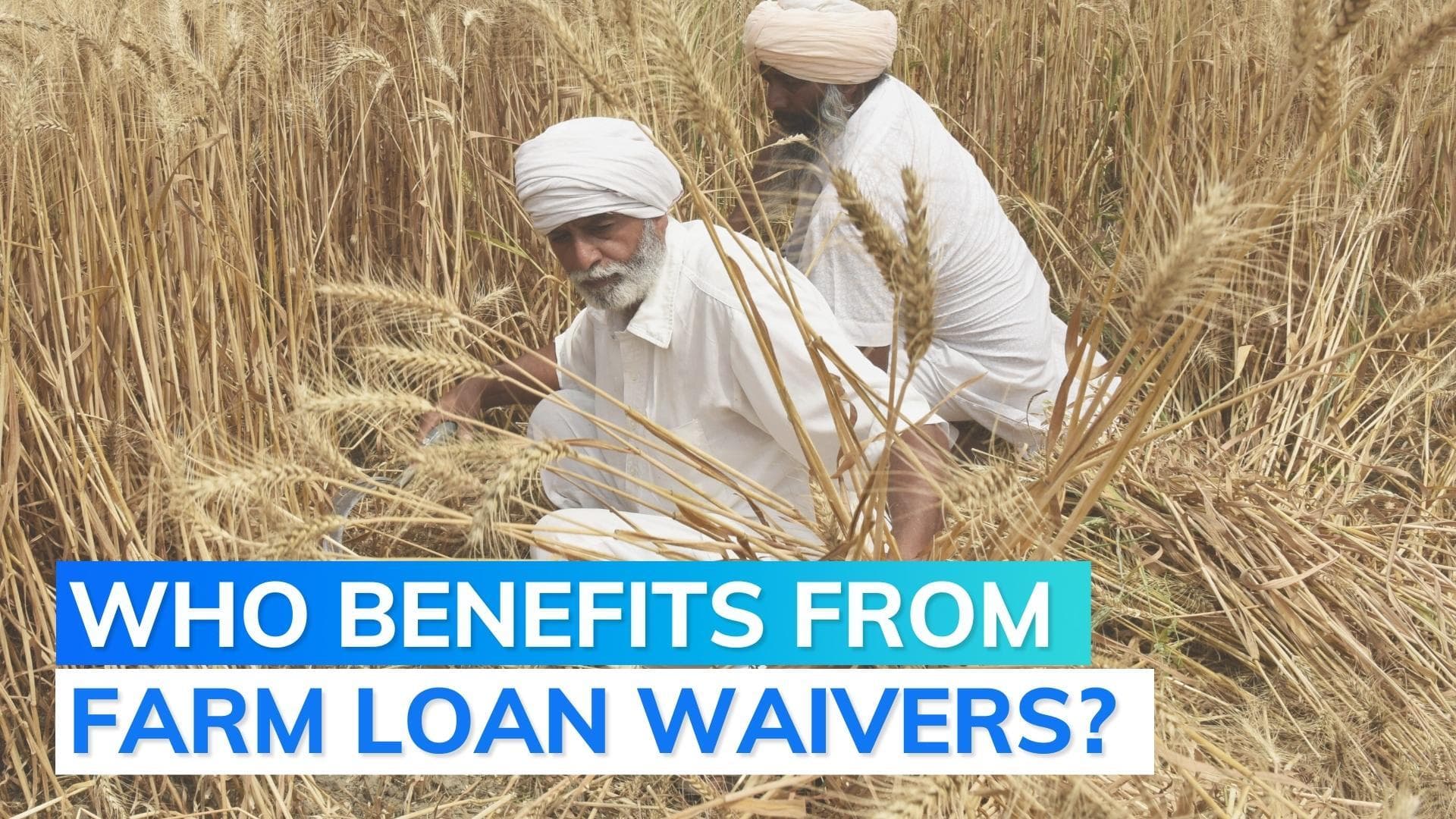 Only 50% of 3.7 cr eligible farmers received farm loan waiver, says study