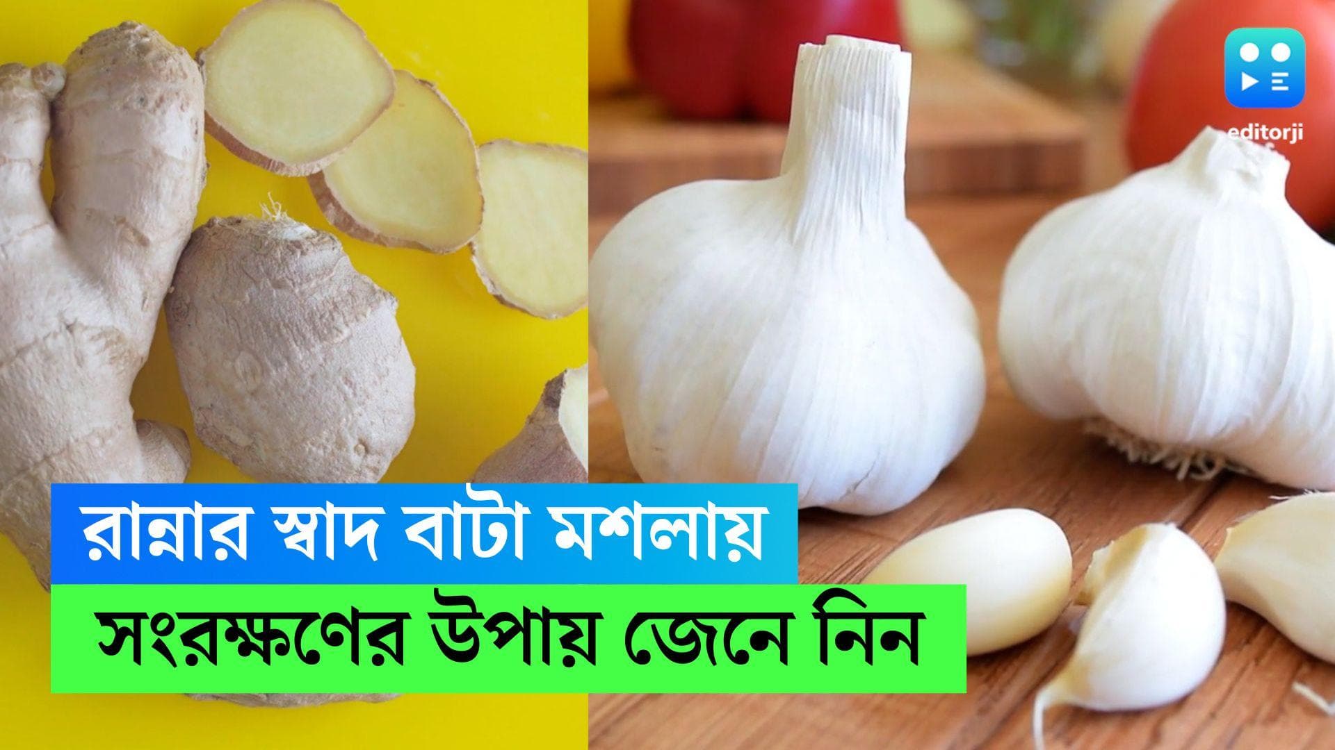 Ginger-garlic paste: একবার আদা-রসুনের পেস্ট বানালেই ব্যবহার করা যাবে ৬ মাস! জানুন সংরক্ষণ পদ্ধতি
