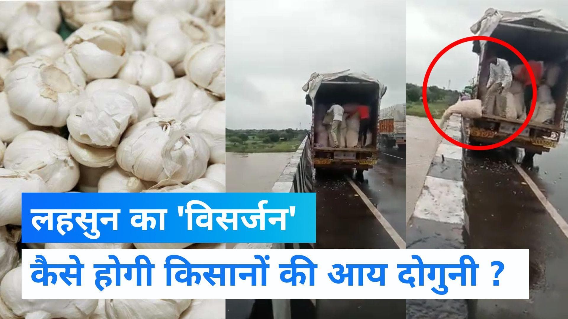 Video: MP में 45 पैसे किलो मिल रहा लहसुन, परेशान होकर किसानों ने नदी में फेंका, देखें वीडियो 