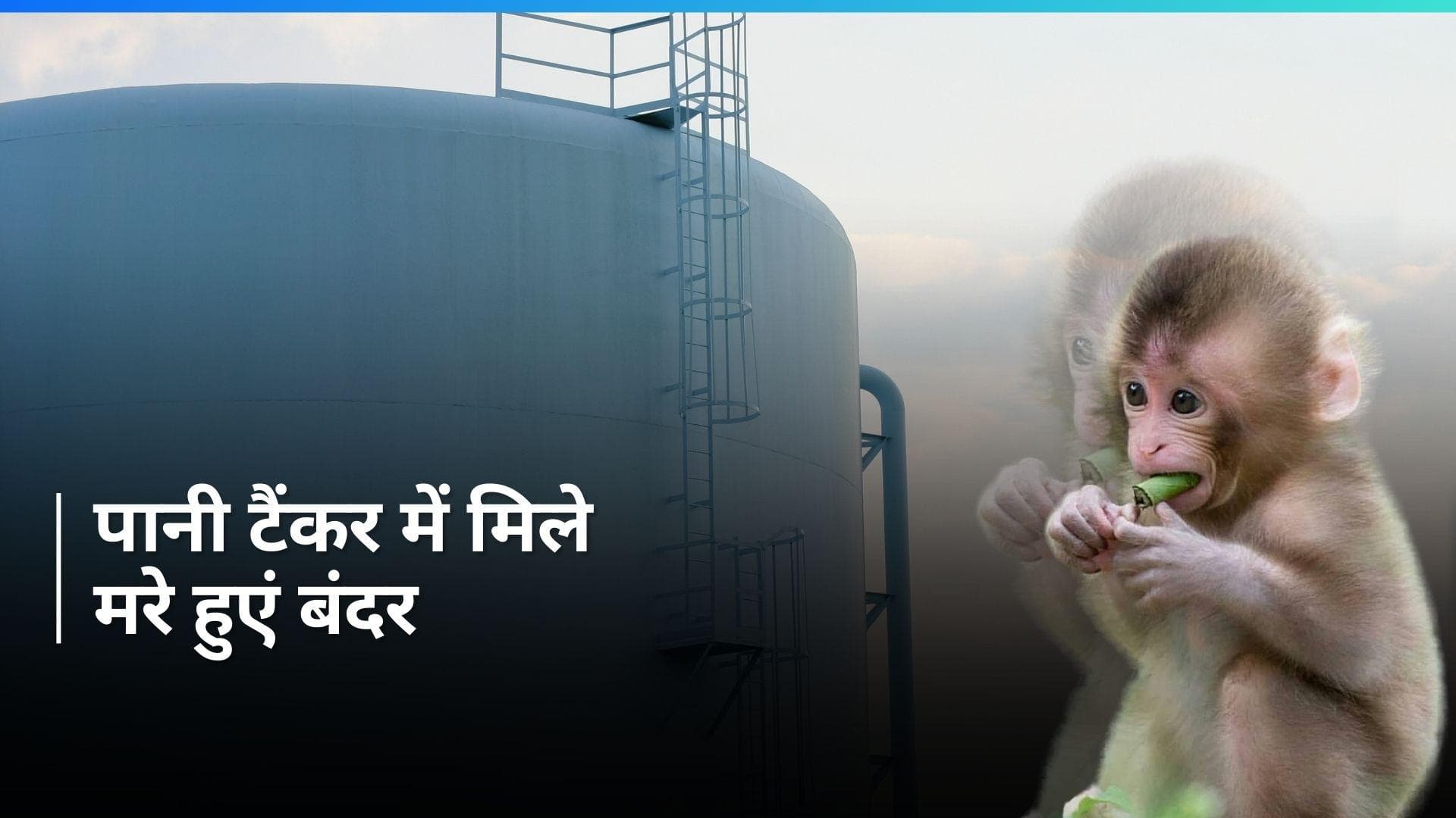 Hyderabad: जिस टंकी से पानी पी रहे थे लोग, उसमें मिले 40 बंदरों के शव...ऐसे हुआ खुलासा