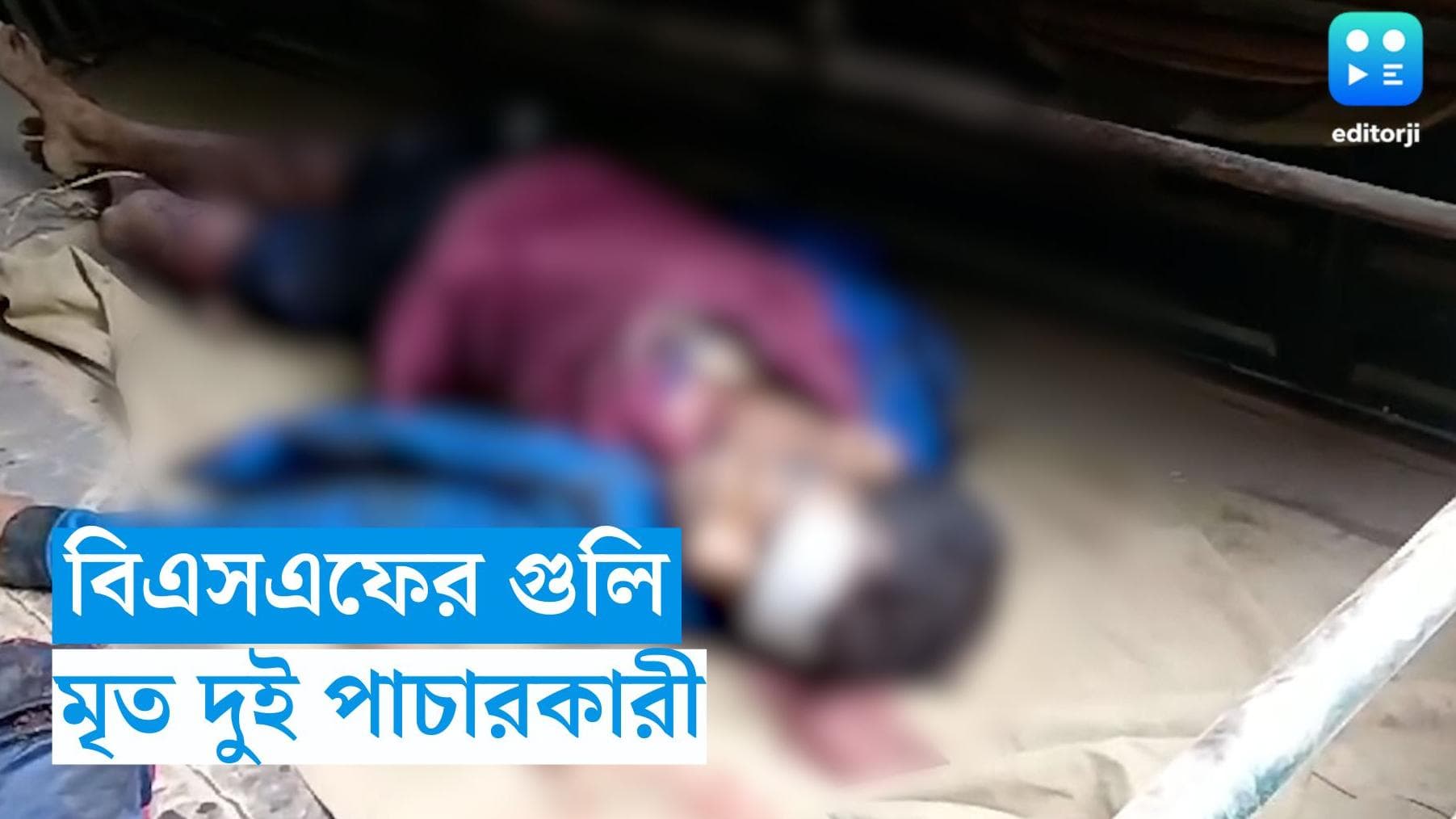 Nadia News : কাঁটাতার কেটে ভারতে পাচারের চেষ্টা, নদিয়ার গোবিন্দপুরে বিএসএফের গুলিতে মৃত দুই