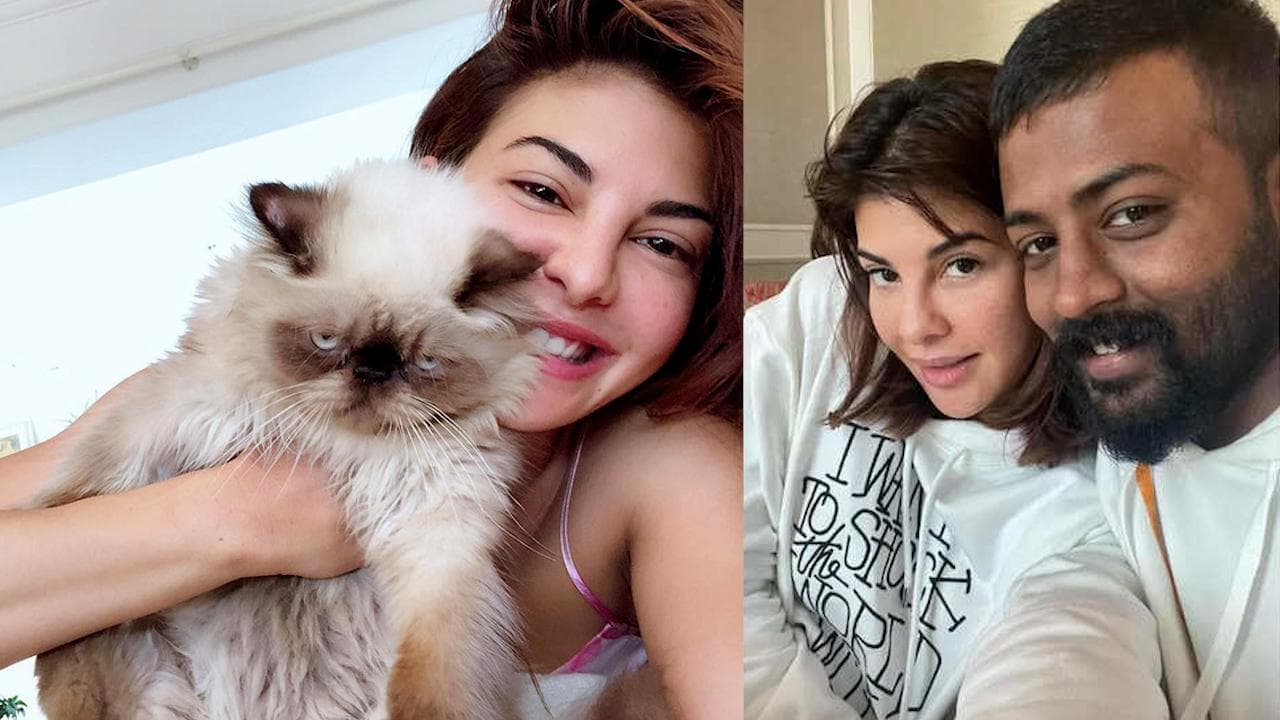 Conman Chandrasekhar gave Jacqueline Fernandez gifts worth Rs. 10 crores, including Rs. 52 lakh horse: ED