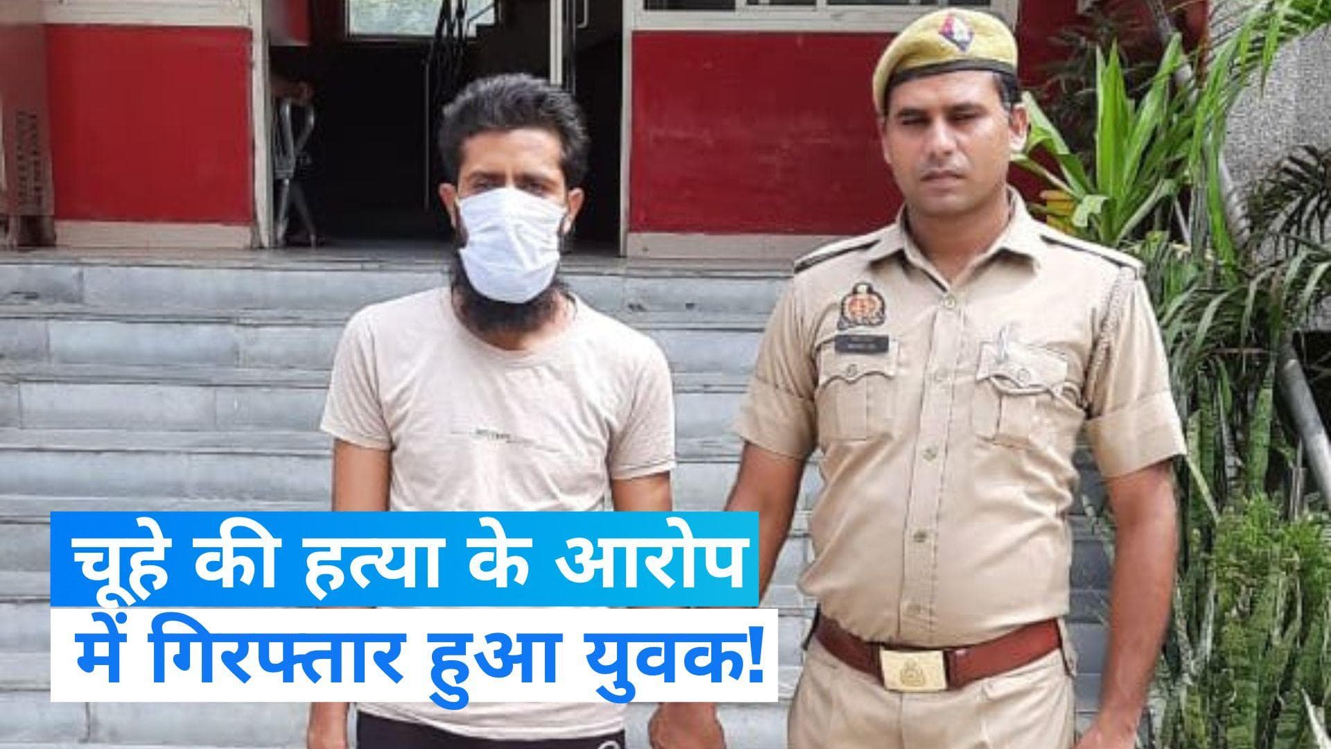 Rat Killing: चूहे की हत्या के मामले में एक युवक गिरफ्तार, जानें- क्या है पूरा मामला?