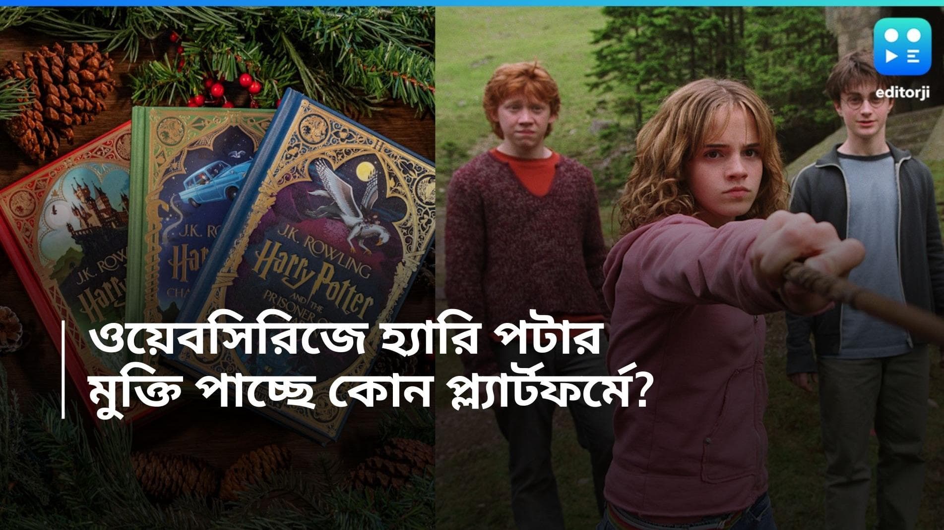 Harry Potter Web Series: পটার ভক্তদের জন্য সুখবর, হগওয়ার্টসের দুনিয়া এবার ওয়েব সিরিজে 