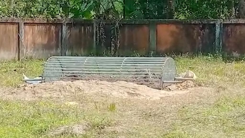 Anish Khan death: আনিস-কাণ্ডে আদালতের নির্দেশ অমান্যের অভিযোগ, হুমকি ফোনে থানায় নালিশ আনিসের দাদা