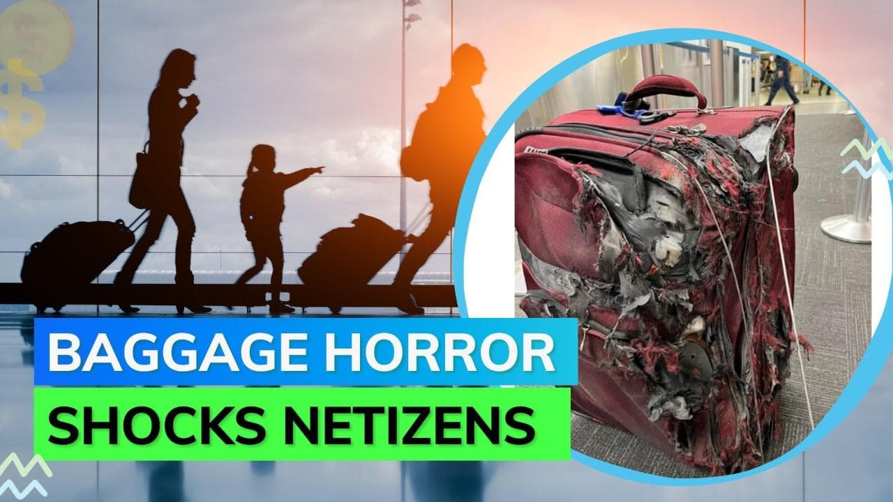 Viral image of passenger's damaged luggage leaves netizens in utter shock! See here