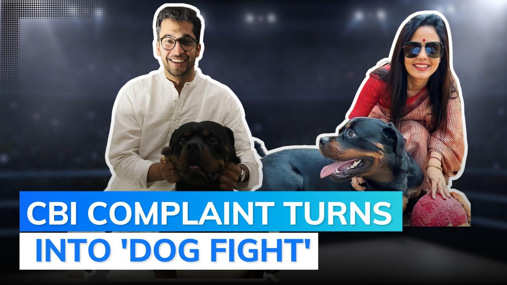 SC advocate Jai Anant Dehadrai accuses Mahua Moitra of 'stealing' his dog | Cash-for-query row