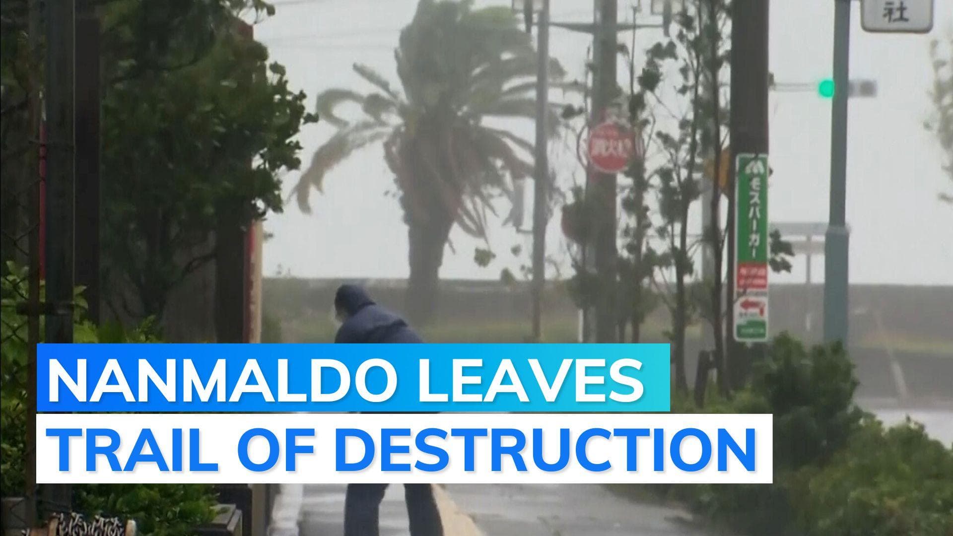 Typhoon Nanmaldo batters Japan: 2 dead, over 100 injured 