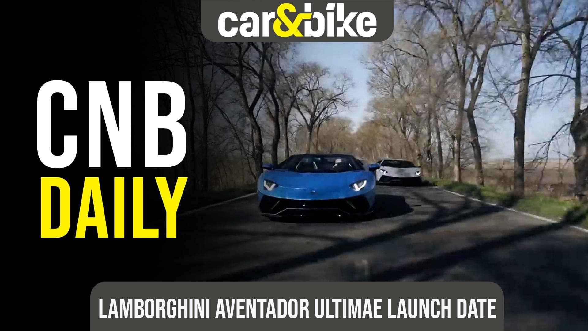 Lamborghini Aventador LP 780-4 Ultimae To Arrive In India