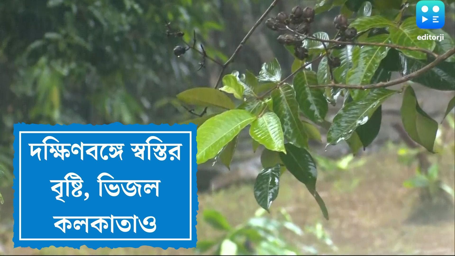 Rain in South Bengal: অবশেষে কলকাতায় স্বস্তির বৃষ্টি, পার্শ্ববর্তী জেলাগুলিতেও বিক্ষিপ্ত বৃষ্টিপাত