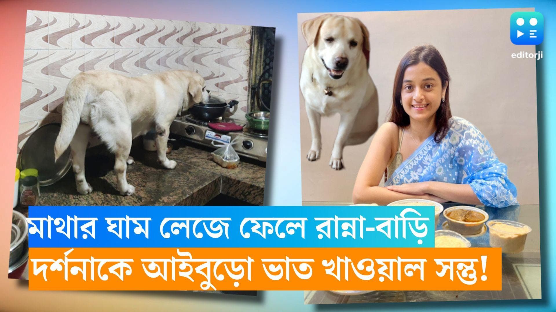 Darshana Banik: দর্শনা দিদির বিয়ে বলে কথা, মাথার ঘাম লেজে ফেলে, আইবুড়ো ভাত খাওয়াল সন্তু, কে সে জানেন?