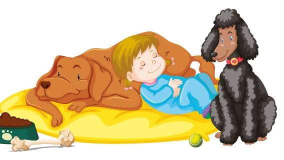Let your kids sleep with your pets for 'paw'sitively good sleep