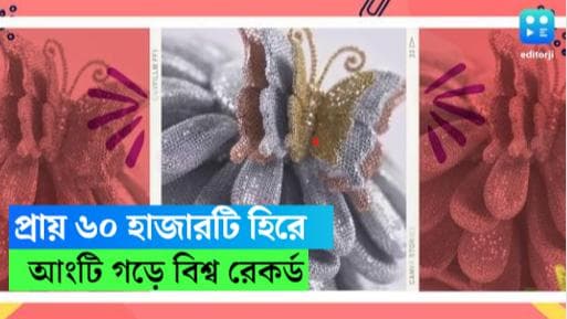 Diamond Ring: সূর্যমুখী ফুলে প্রজাপতি, প্রায় ৬০ হাজার হিরেতে আংটি বানিয়ে বিশ্ব রেকর্ড স্বর্ণ ব্যবসায়ীর 