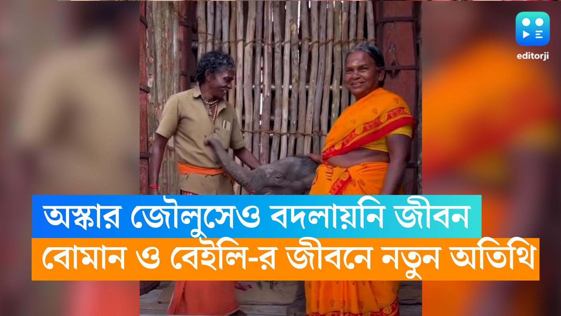 The Elephant Whisperers: অস্কার জৌলুসেও বদলায়নি জীবন, বোমান ও বেইলি-র জীবনে নতুন অতিথি