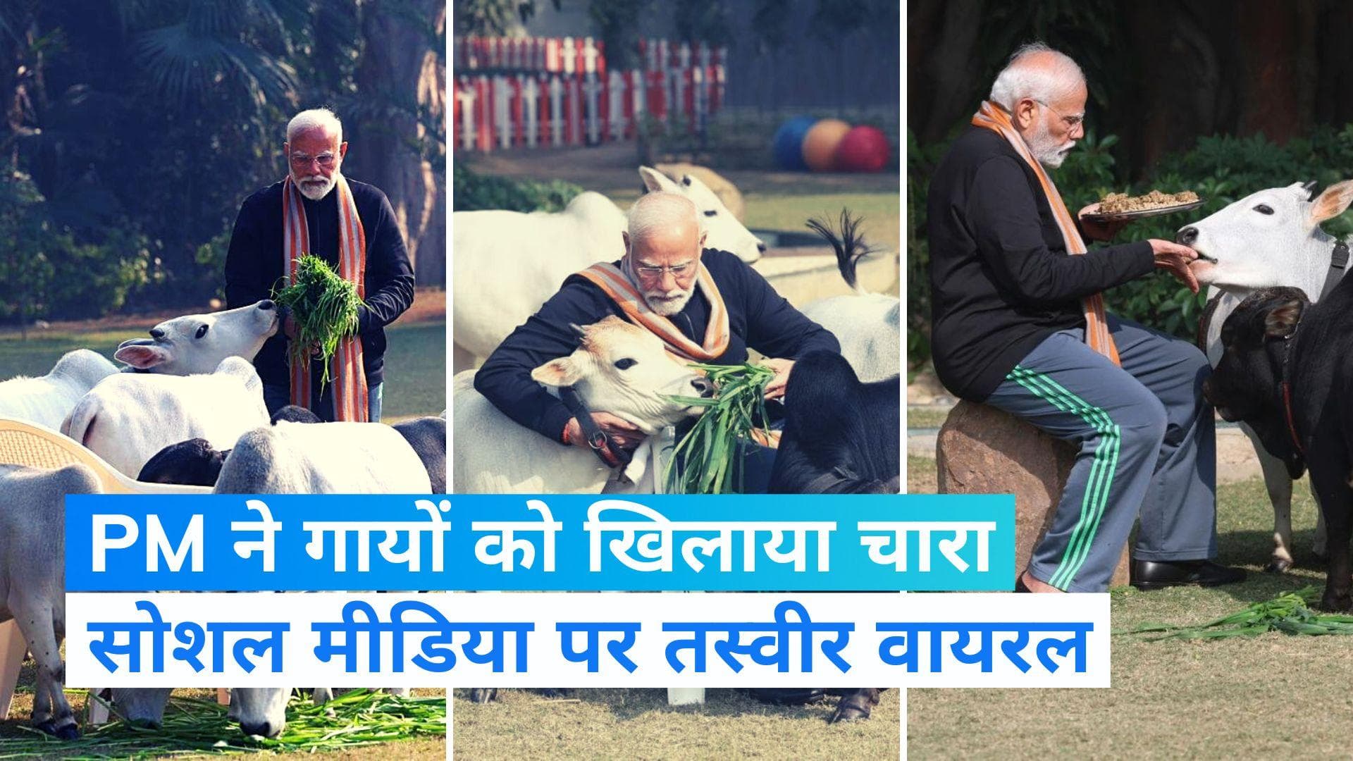 Makar Sankraanti: मकर संक्रांति के मौके पर पीएम मोदी ने गायों को खिलाया चारा, तस्वीरें हुई वायरल