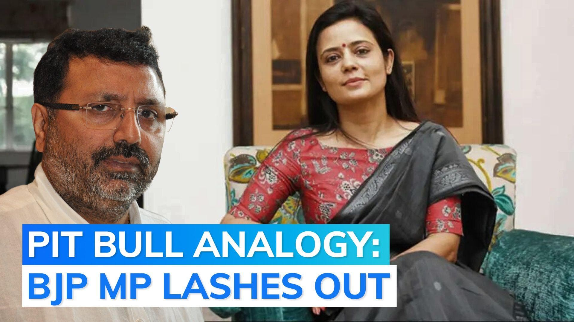 Moitra's Pitbull jibe at Dubey: BJP MP fumes, writes to govt for action against TMC MP 