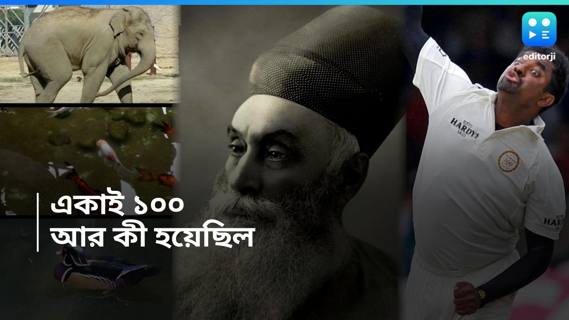 History of 3rd March:আজ বিশ্ব বন্যপ্রাণ দিবস, আর কী হয়েছিল ৩ মার্চ ?