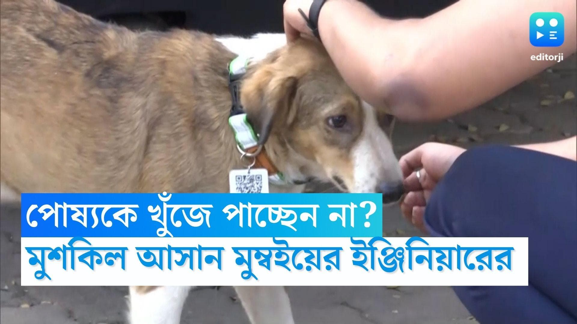 QR code for pets: পোষ্যকে খুঁজে পাচ্ছেন না? মুশকিল আসান মুম্বইয়ের ইঞ্জিনিয়ারের তৈরি অভিনব QR code
