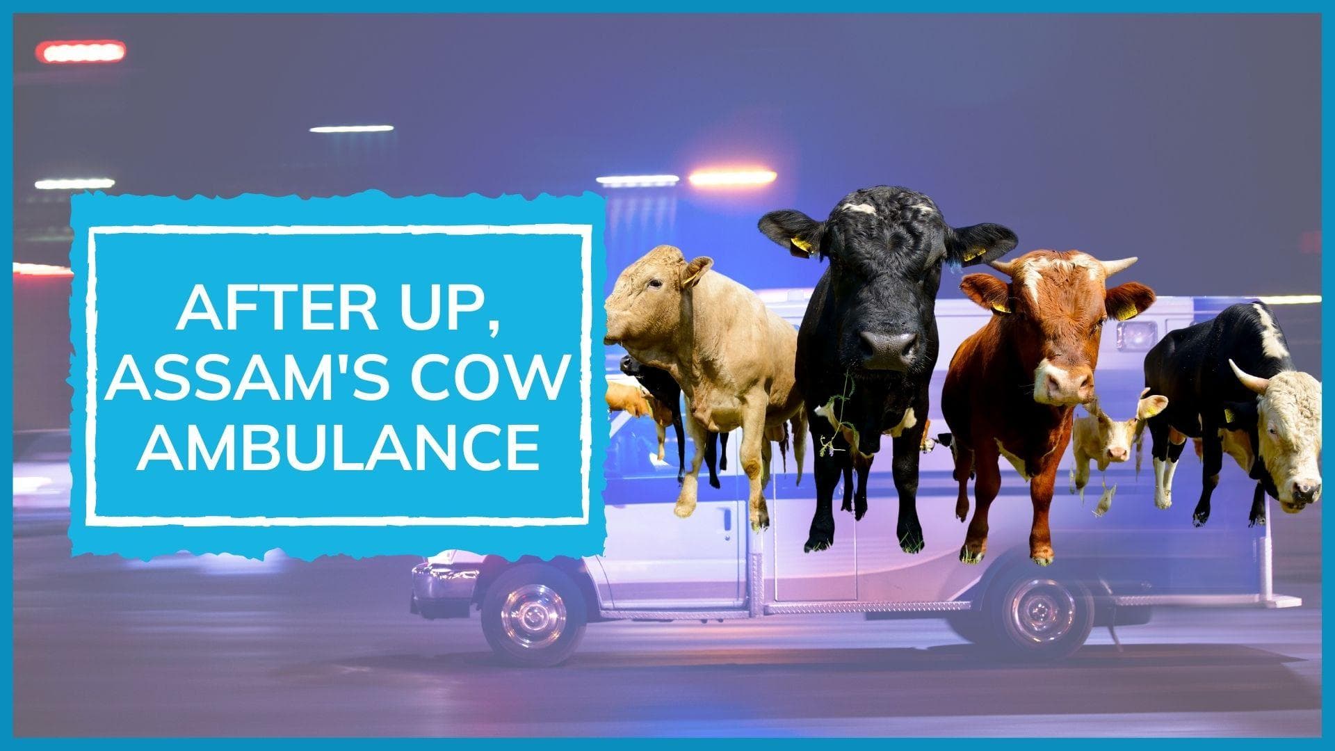 Now, Assam gets cow ambulance service